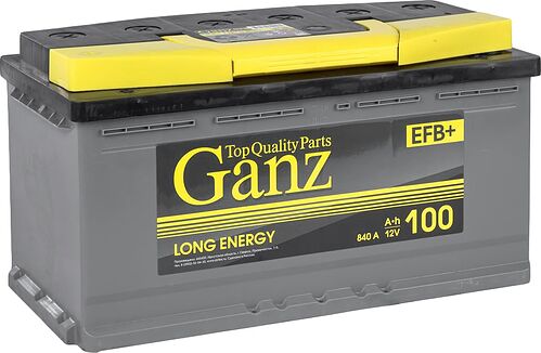GANZ EFB
