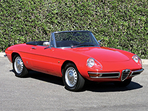 Подбор шин на Alfa Romeo Spider 1966