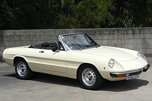 Подбор шин на Alfa Romeo Spider 1975