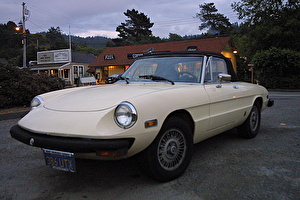 Подбор шин на Alfa Romeo Spider 1978