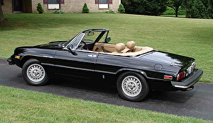 Подбор шин на Alfa Romeo Spider 1981