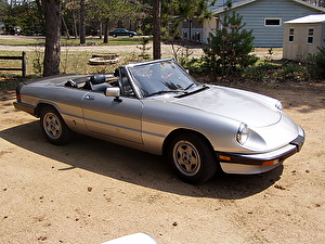 Подбор шин на Alfa Romeo Spider 1984