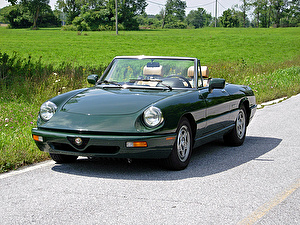 Подбор шин на Alfa Romeo Spider 1992