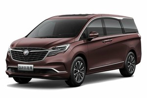 Подбор шин на Buick GL8 ES 2020