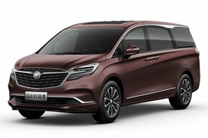 Подбор шин на Buick GL8 ES 2021