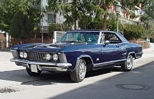 Подбор шин на Buick Riviera 1963