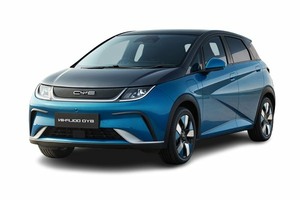 Подбор шин на BYD Dolphin Plus 2025
