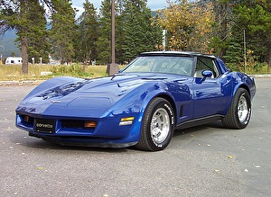 Размер колёс на Chevrolet Corvette 1981 Подбор шин на Chevrolet Corvette 1981