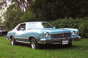 Подбор шин на Chevrolet Monte Carlo 1975