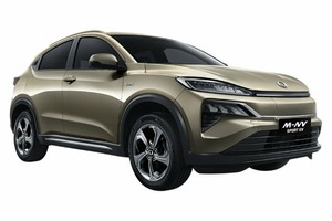 Selecting tires and rims for your car Ciimo M-NV. Шины на Ciimo