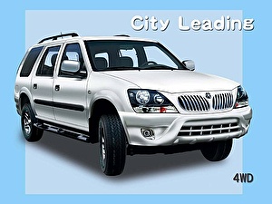 Размер колёс на Dadi City Leading 2012 Подбор шин на Dadi City Leading 2012