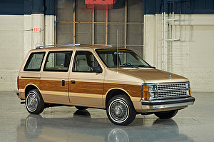 Подбор шин на Dodge Caravan 1984