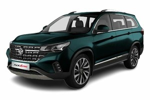 Подбор шин на Dongfeng SX6 Pro 2025