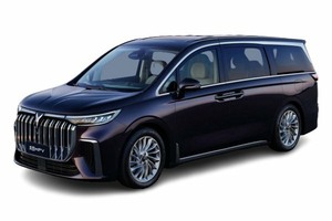 Подбор шин на Dongfeng Voyah (Lantu) Dreamer 2021