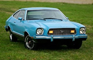 Подбор шин на Ford Mustang Mach 1 1974