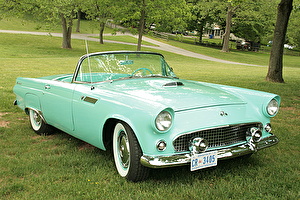 Подбор шин на Ford Thunderbird 1954