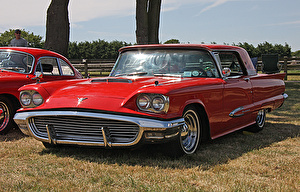 Подбор шин на Ford Thunderbird 1959