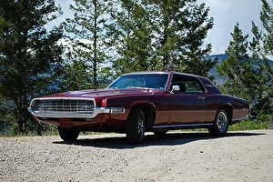 Подбор шин на Ford Thunderbird 1968