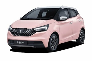 Подбор шин на JMEV EV3 2020