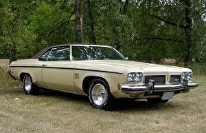 Подбор шин на Oldsmobile 88 1973