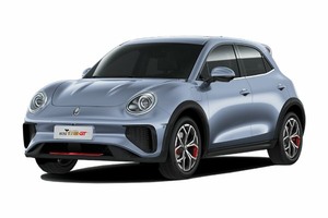 Подбор шин на Ora Good Cat GT 2022