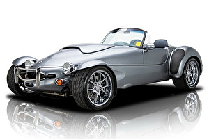 Подбор шин на Panoz AIV Roadster 2018