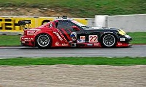 Подбор шин на Panoz Esperante 2004