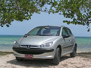 Подбор шин на Peugeot 206 2004