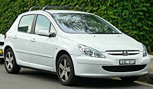 Подбор шин на Peugeot 307 2001