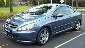 Подбор шин на Peugeot 307 2003