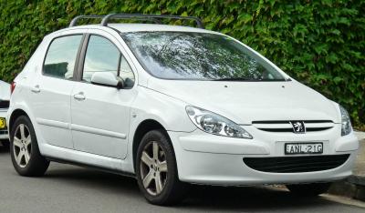Подбор шин на Peugeot 307 2005