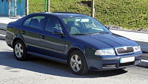 Подбор шин на Skoda Octavia Tour 2009