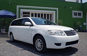 Подбор шин на Toyota Corolla Fielder 2004