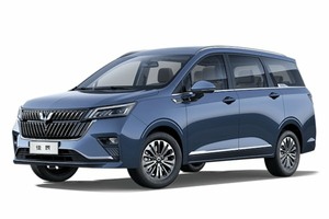 Подбор шин на Wuling Jiachen 2022