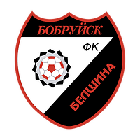 Cooperation with ФК «Белшина»