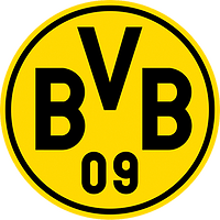 Cooperation with Borussia