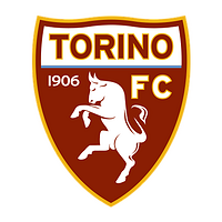 Cooperation with Torino FC