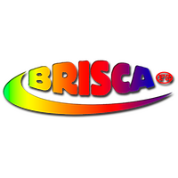 Cooperation with BriSCA Formula 2 Stock Cars