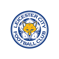Cooperation with Leicester City