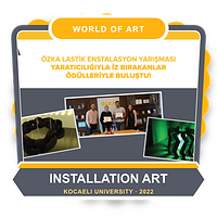 Cooperation with World of Art Installation Competition