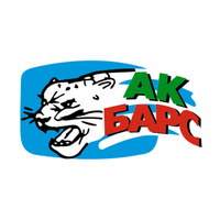 Cooperation with Ak Bars, Bars and Irbis
