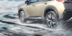 Technology The corresponding number of anti-skid studs