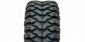 Technology Directional V-shaped tread pattern