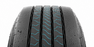 Technology Curved lamellae of central ribs