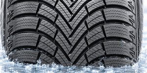 Technology Wavy lamellae create micro-grip on ice