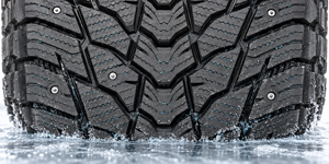 Technology Dense wavy lamellae grip the ice