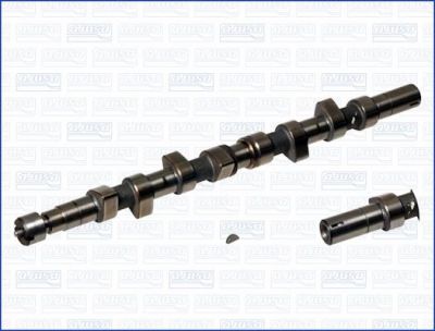 AJUSA 93001400 распредвал на RENAULT 19 II (B/C53_)