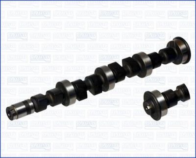 AJUSA 93004900 распредвал на FIAT BRAVA (182)