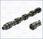 AJUSA 93005100 распредвал на CHERY AMULET
