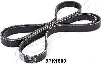Ashika 112-5PK1800 поликлиновой ремень на KIA CEE'D SW (ED)
